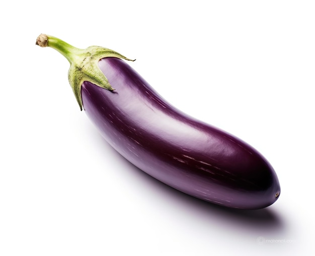 Eggplant isolated on background