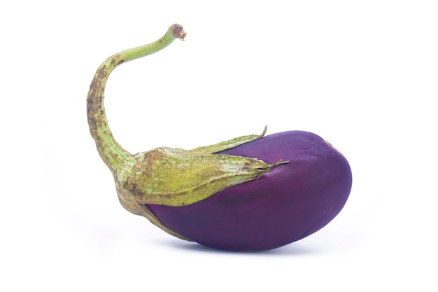 Eggplant on isolated white background