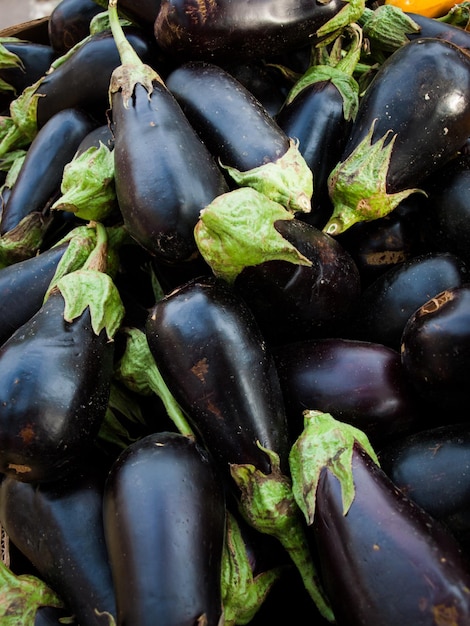 Eggplant at the local farmer's market.