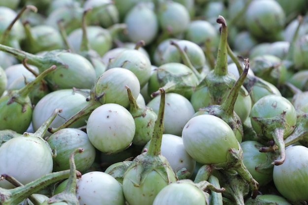 eggplant at street food