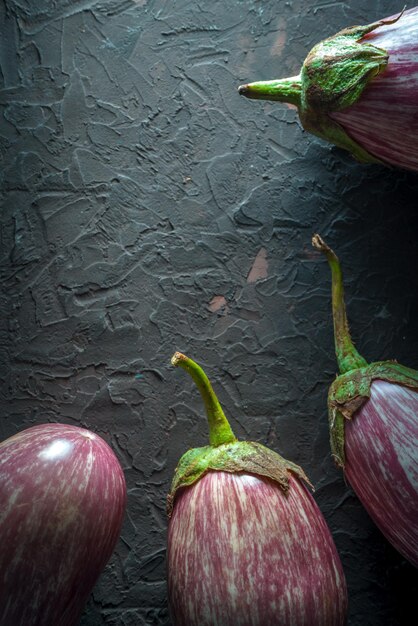 Eggplant in stripes with branches on dark gray table free space