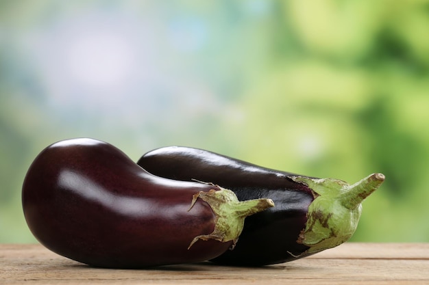 eggplant in summer with copyspace