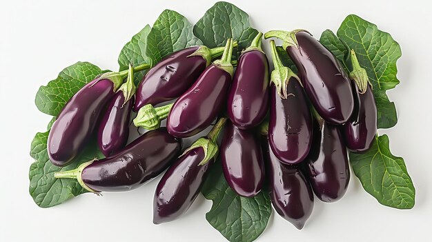 Eggplant on white background studio shot