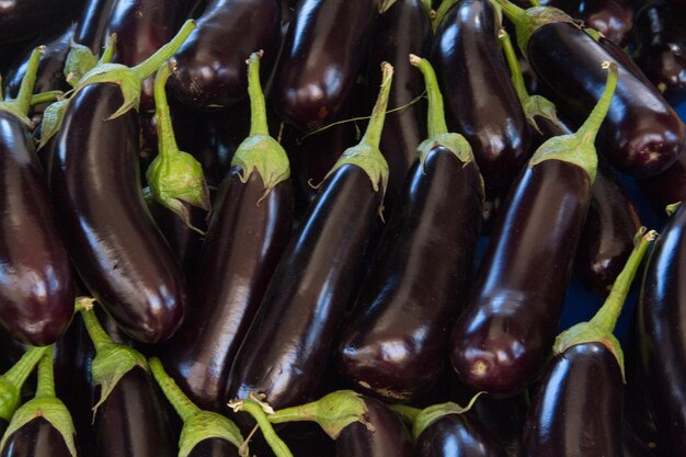 Eggplant in the window of the local market A bunch of fresh eggplant closeup