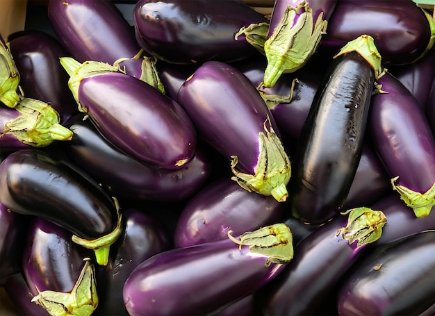 Eggplants top view