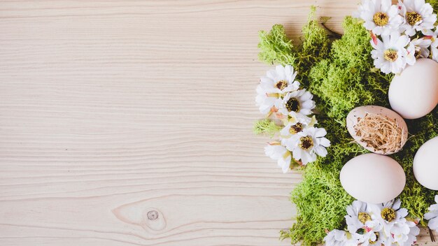 写真 モスの卵と花