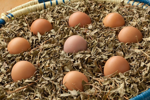 Eggs in a basket with dried henna leaves as a symbol for a Moroccan wedding party