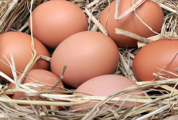 Eggs/Basket with eggs in straw