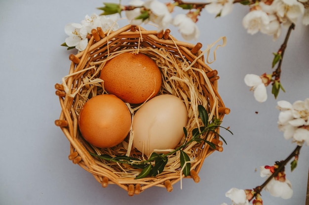 Photo eggs in a basket