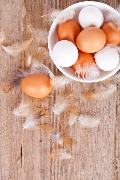 Eggs in a bowl  and feathers