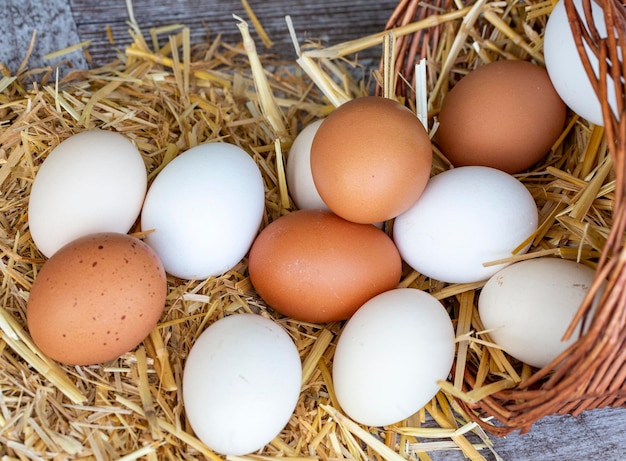 Eggs, Chicken Egg on Straw