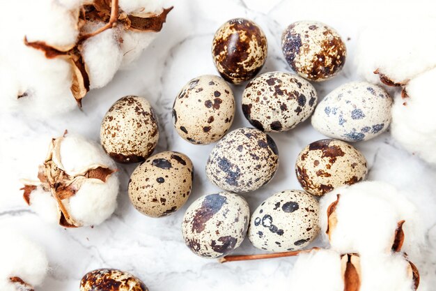 Eggs and cotton on white marble background