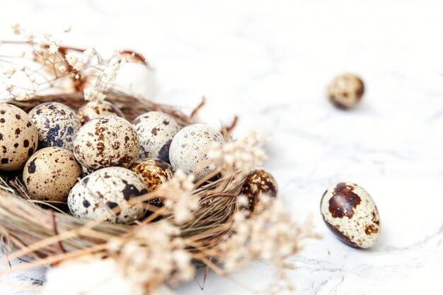 Eggs and cotton on white marble background