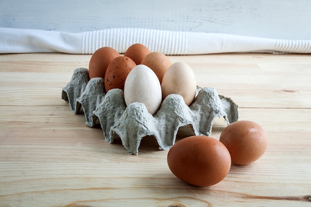 Eggs of different types 