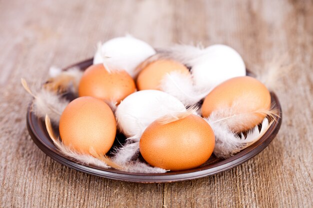 Eggs and feathers in a plate 