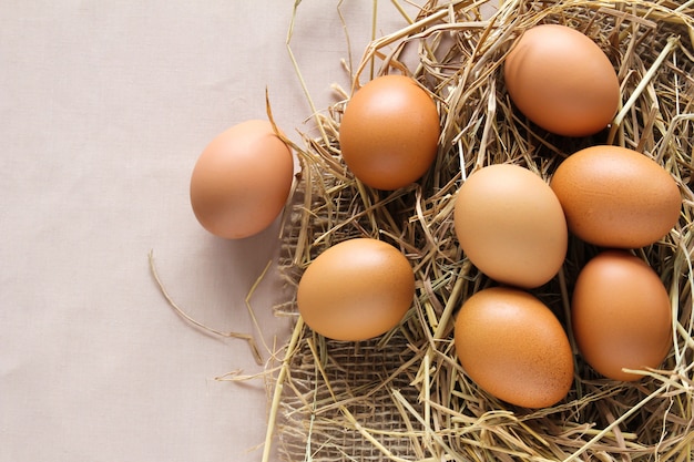 Eggs on hay