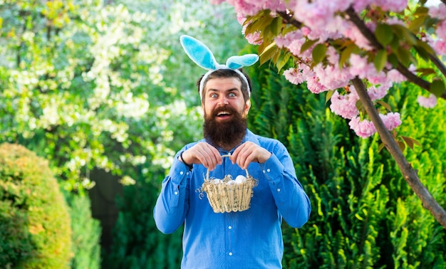 Eggs hunt. Man in bunny ears holds Easter egg. Rabbit man. Man with rabbit ears hold basket with Easter egg. Easter eggs. Spring holidays. Happy Easter.