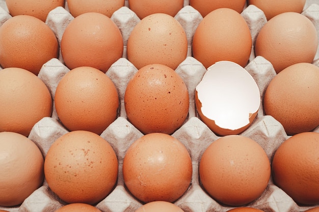 Eggs isolated on white background