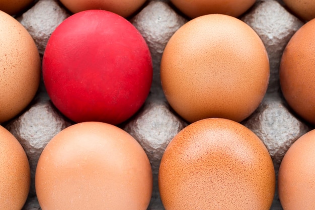 Яйца в журнале с одним красным яйцом Макро