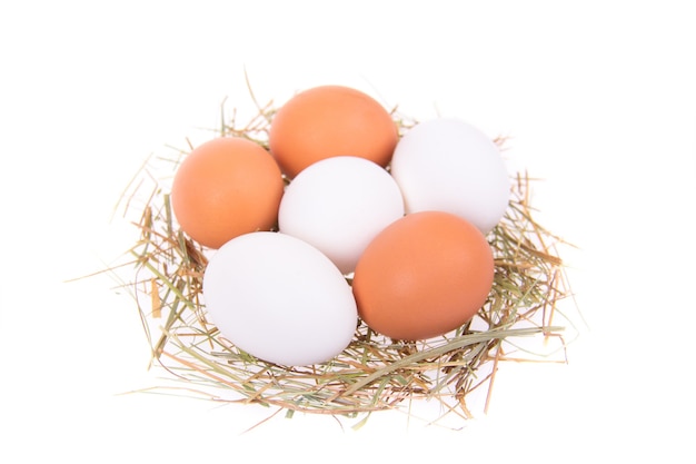 Eggs in a nest isolated on white