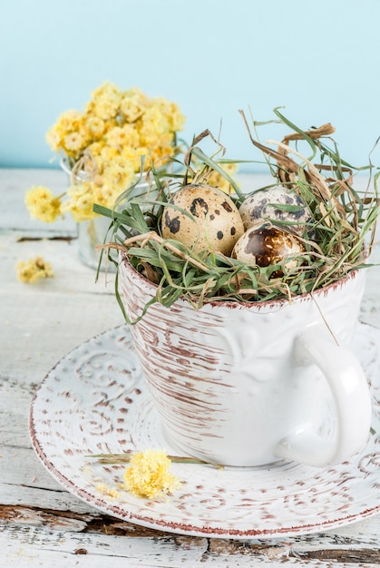 Eggs in a nest in an old coffee cup