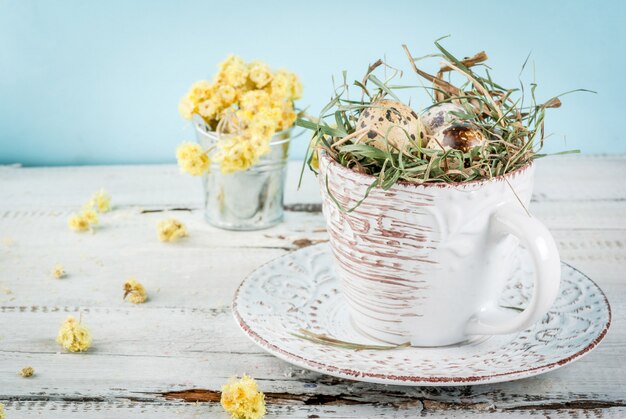 Eggs in a nest in an old coffee cup