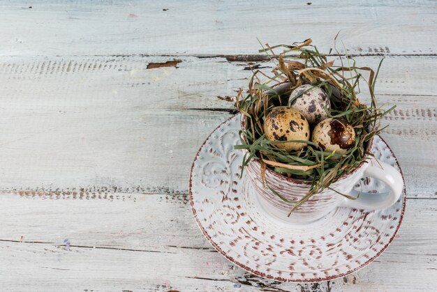 Eggs in a nest in an old coffee cup