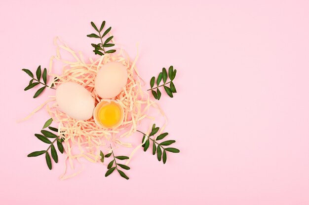 eggs in a nest on a pink background