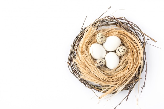 Eggs in the nest on the white background