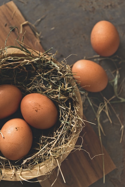 Eggs in nest