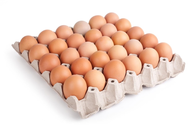 Eggs in paper tray