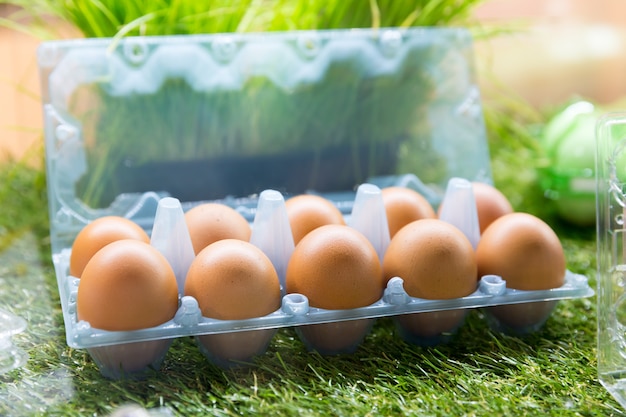 Eggs in plastic container on the grass close up