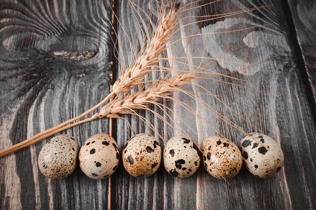 Eggs quail on a wood table decorated with a spica.