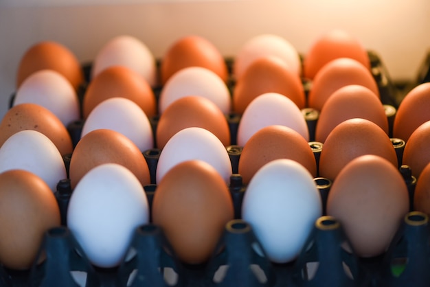 Eggs in the refrigerator for storage in the kitchen home, Fresh chicken eggs and duck eggs in box