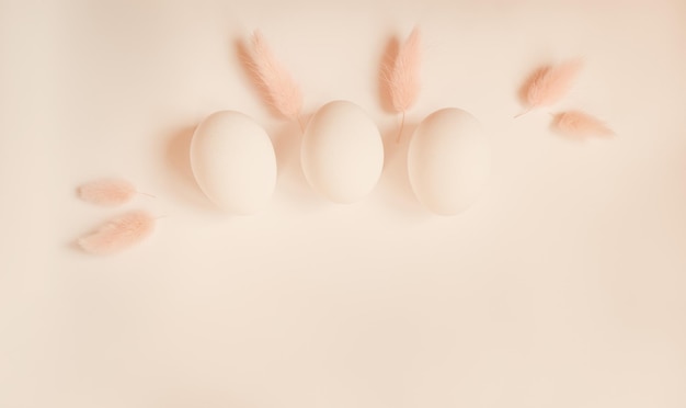 Photo eggs and spikelets of dried bunny tail grass in beige background