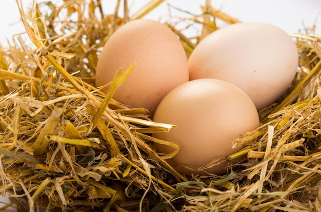 Eggs on a straw