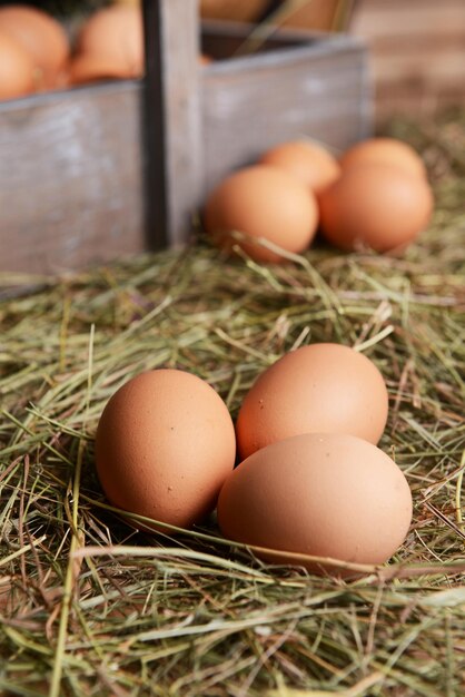 Eggs on table closeup