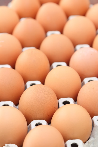 Eggs in tray, close up