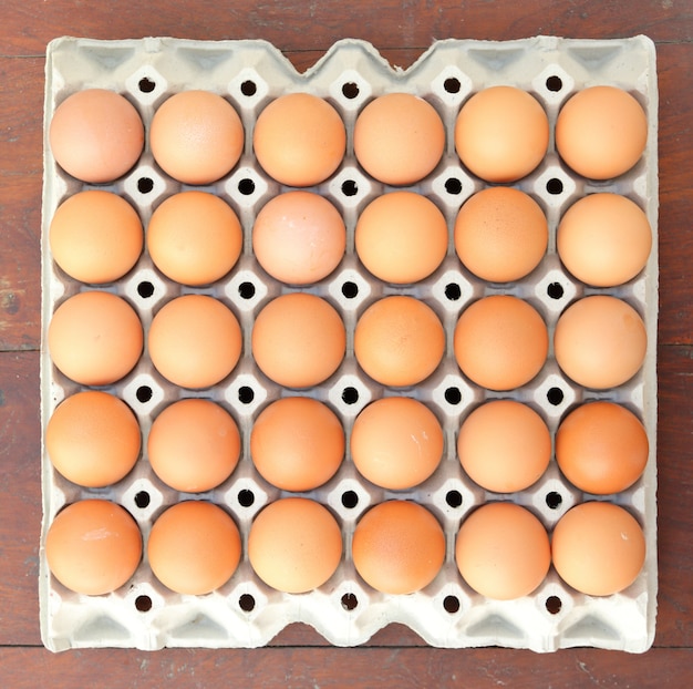 Eggs in tray, top view.