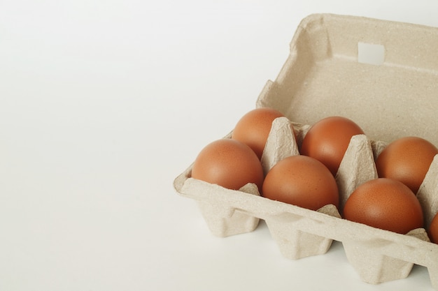 Eggs in tray on white background.                               