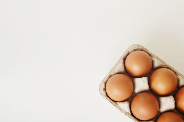 Eggs in tray on white background.                               