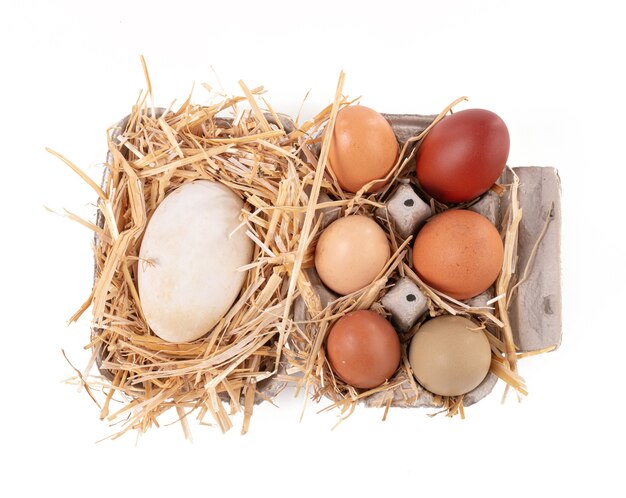 Eggs of various sizes and colors with straw on a white background