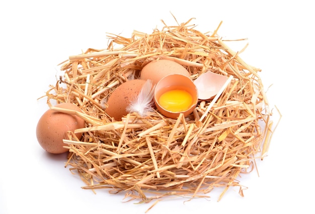 Photo eggs on a white background