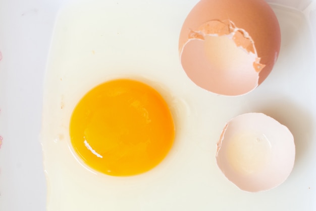 Eggs on white background