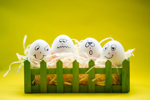 Eggs with funny faces