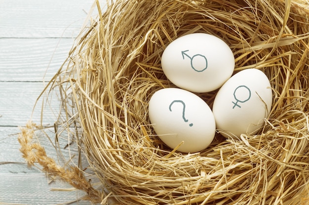 Eggs with symbols of genders and question mark.