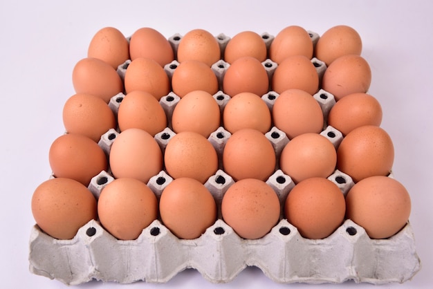 Eggs