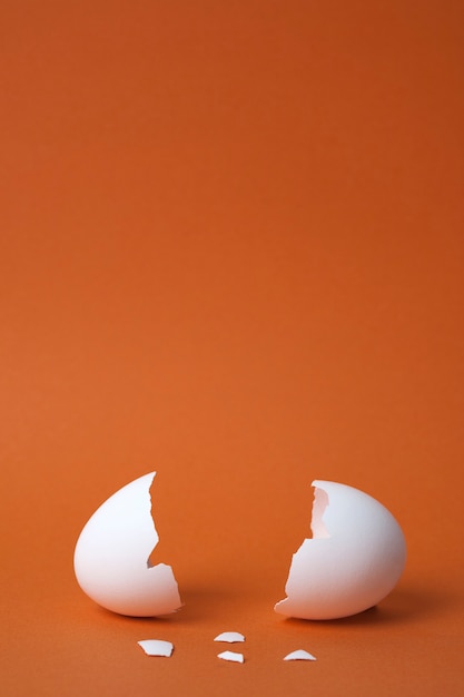 eggshell on orange background