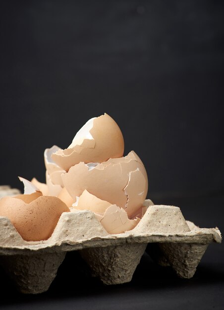 Photo eggshell in paper tray, black background