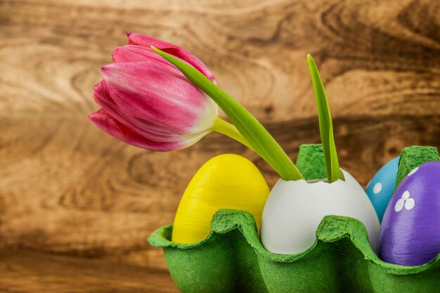 Eggshell with pink tulip and colorful Easter eggs in a cardboard box on wooden background